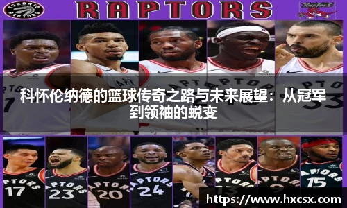 欧亿体育官网入口